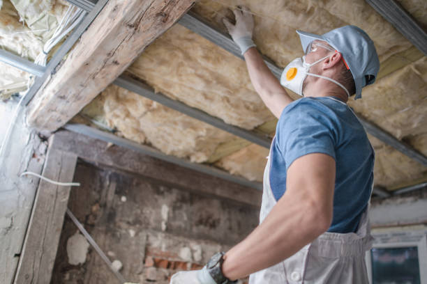 Best Insulation Repair Services  in Ocean Gate, NJ